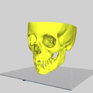 Cráneo modelado en 3D